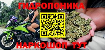 бошки Краснодар