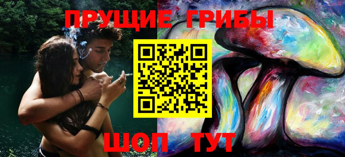 Краснокаменск  Псилоцибиновые грибы мухоморы  Вход с VPN 
