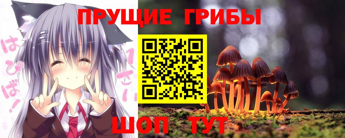 Псилоцибиновые грибы GOLDEN TEACHER Краснокаменск
