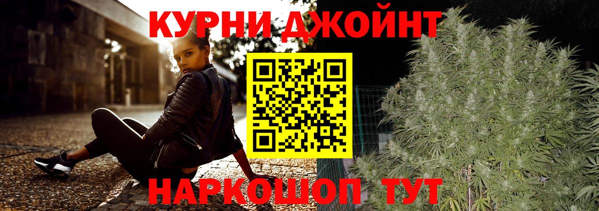Конопля сатива Краснокаменск